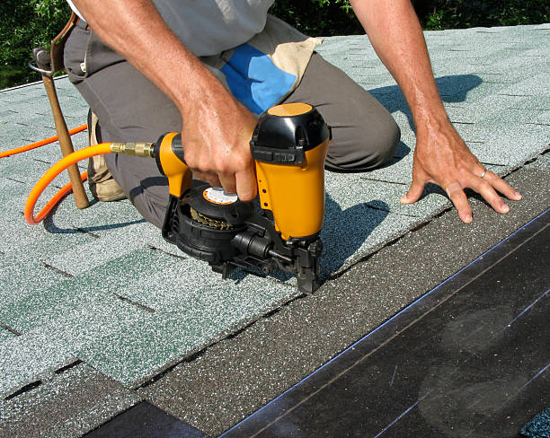 Best Roof Leak Repair  in Steele Creek, AK