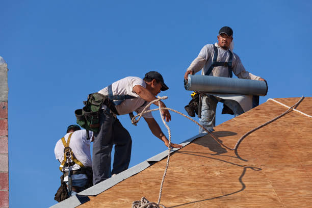 Best Roof Gutter Cleaning  in Steele Creek, AK