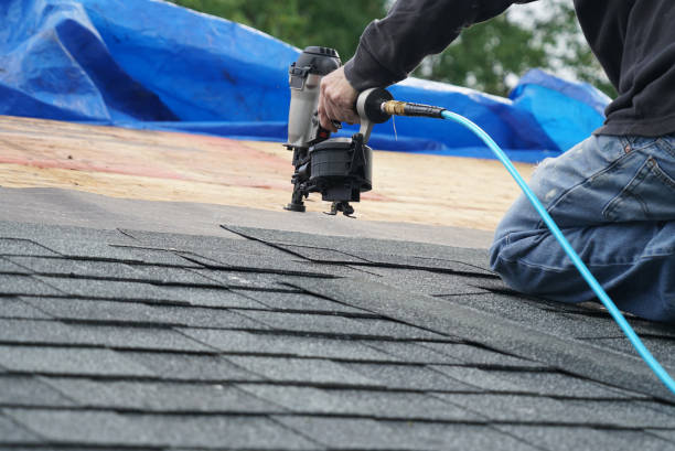 Sealant for Roof in Steele Creek, AK