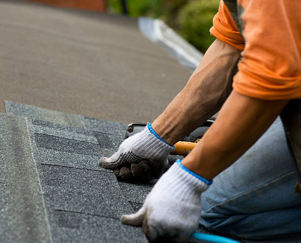 Best New Roof Installation  in Steele Creek, AK