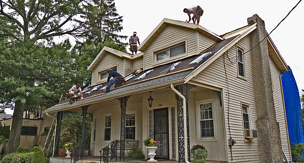 Best Roof Leak Repair  in Steele Creek, AK