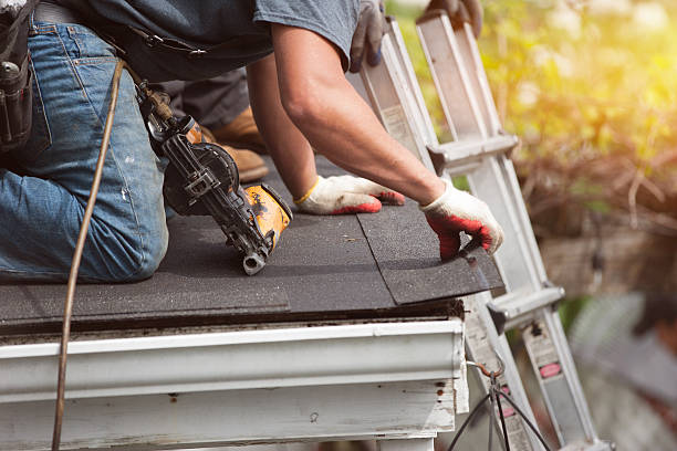 Best Roof Maintenance Services  in Steele Creek, AK
