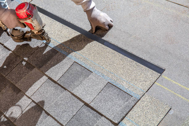 Best Metal Roofing Contractor  in Steele Creek, AK