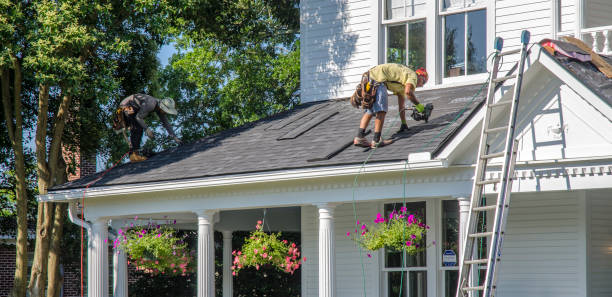 Best New Roof Installation  in Steele Creek, AK