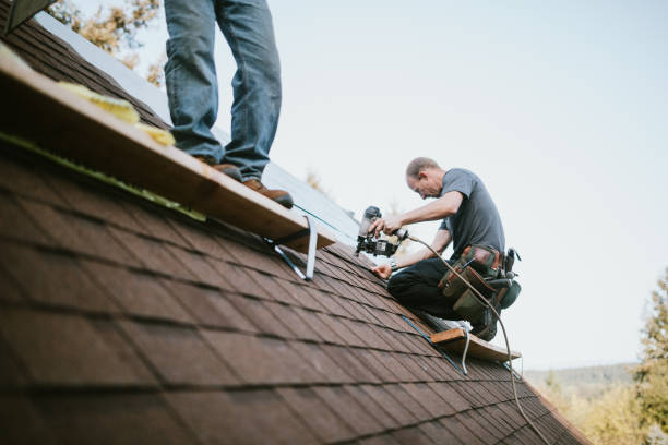 Best Residential Roofing Contractor  in Steele Creek, AK
